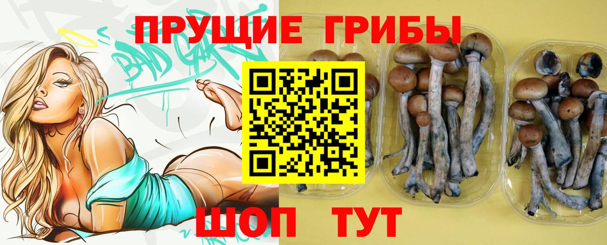 Галлюциногенные грибы GOLDEN TEACHER Удомля