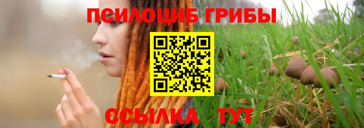 Псилоцибиновые грибы Psilocybine cubensis  Вход с VPN  Удомля 