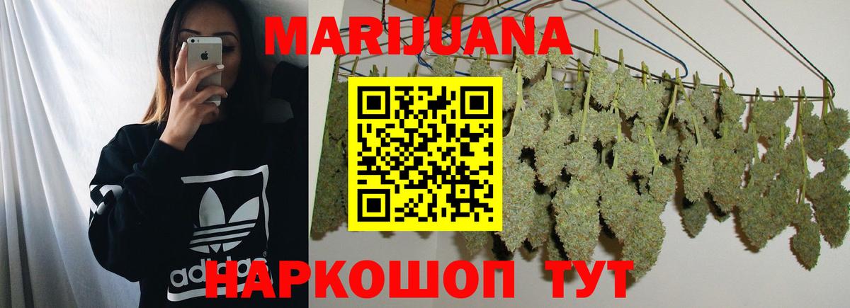 Марихуана планчик  МАРИХУАНА SATIVA & INDICA  Вход с VPN  Удомля  Марихуана ГИДРОПОН  МАРИХУАНА Bruce Banner 